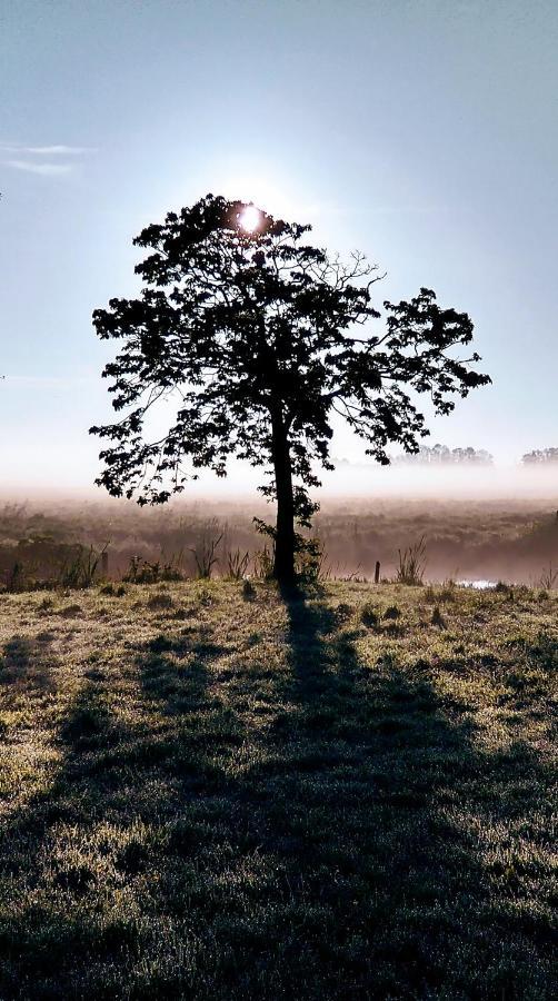 B&Bslapenopeeneiland Kaag Dış mekan fotoğraf